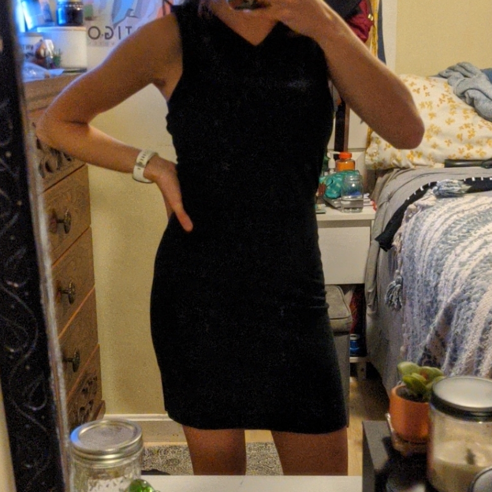 American Eagle Bodycon Dress